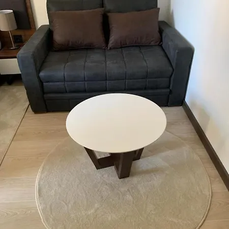 Zoned 2 Apartment Kopaonik